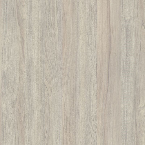 Вяз либерти серебряный